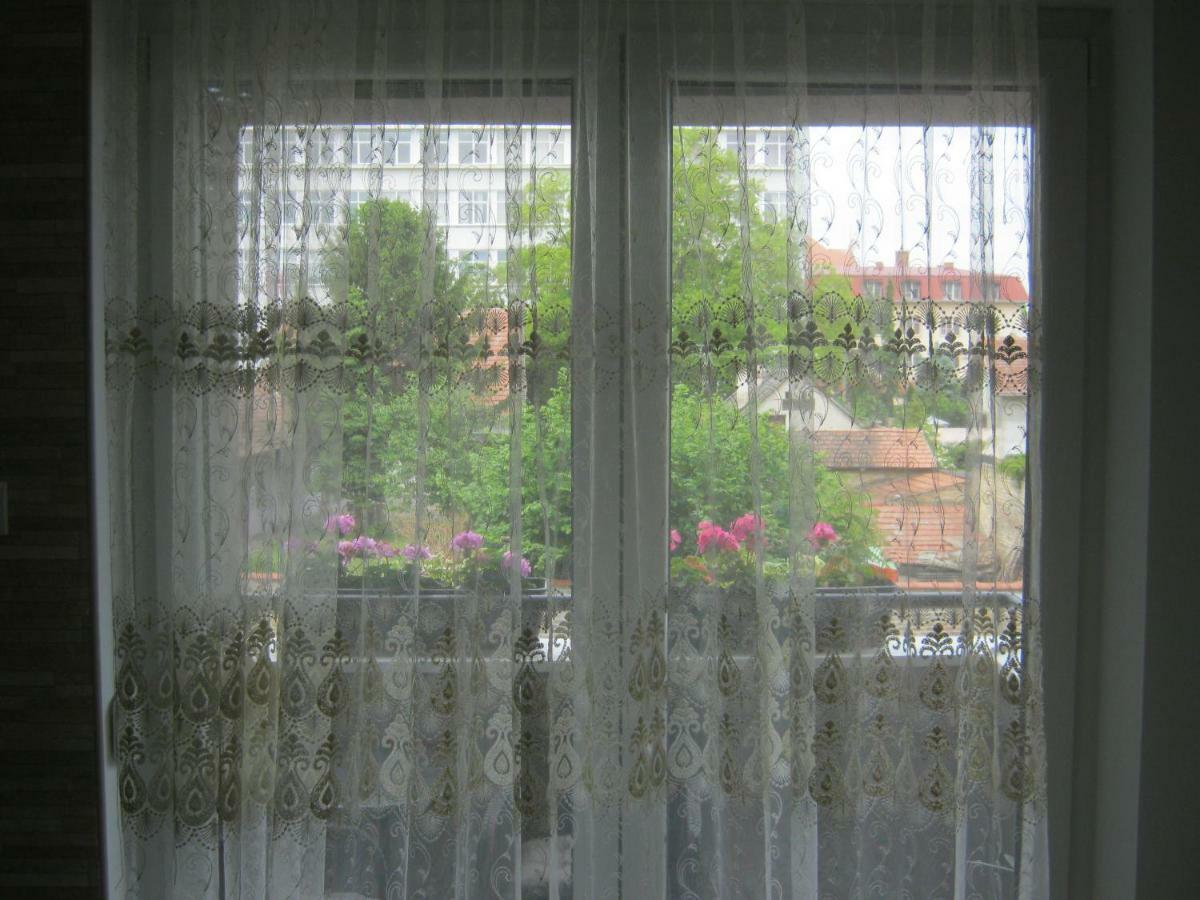 Apartment Ildiko Is A Calm Place To Relax Subotica